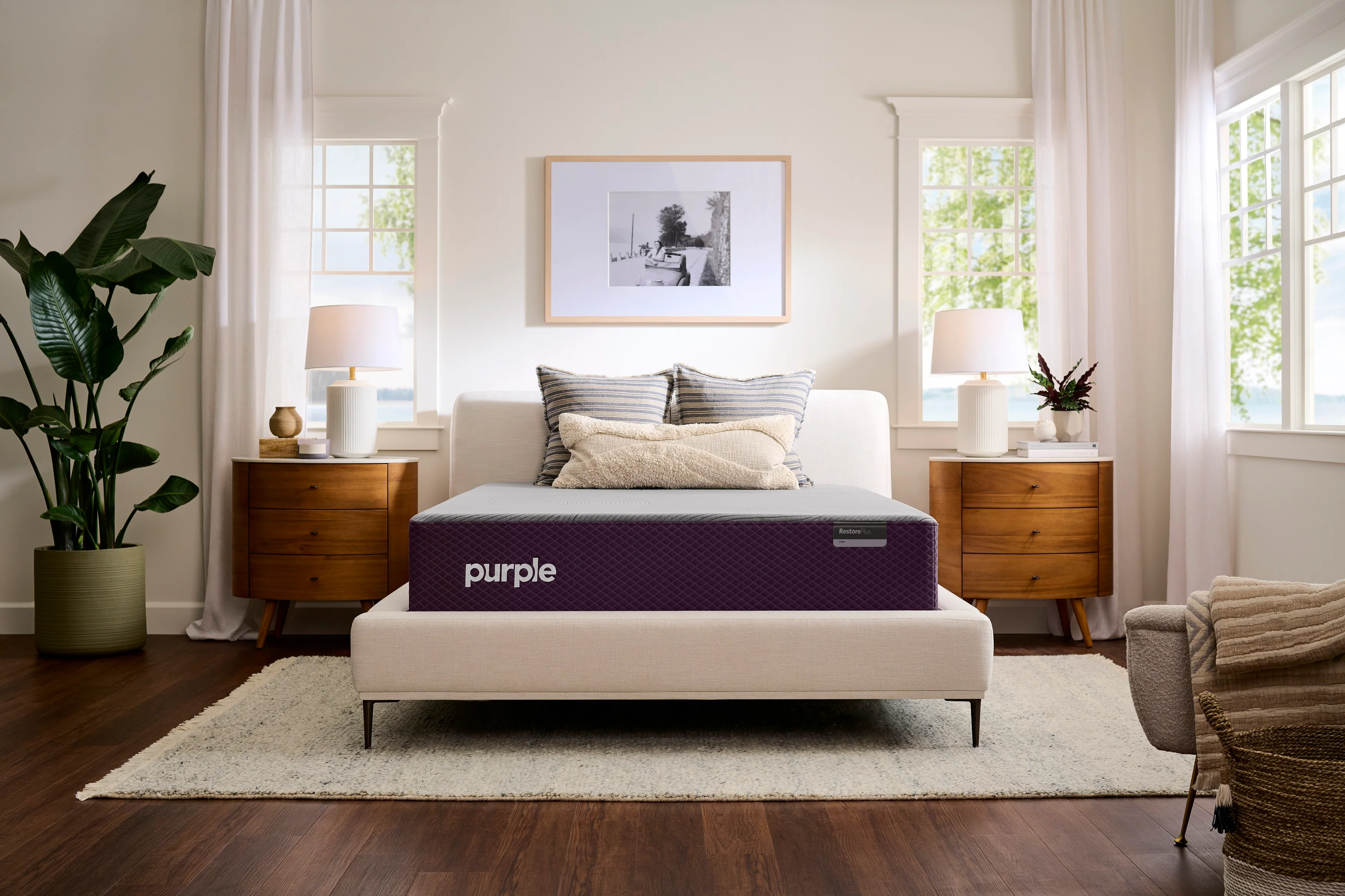Purple RestorePlus Soft - Image 2