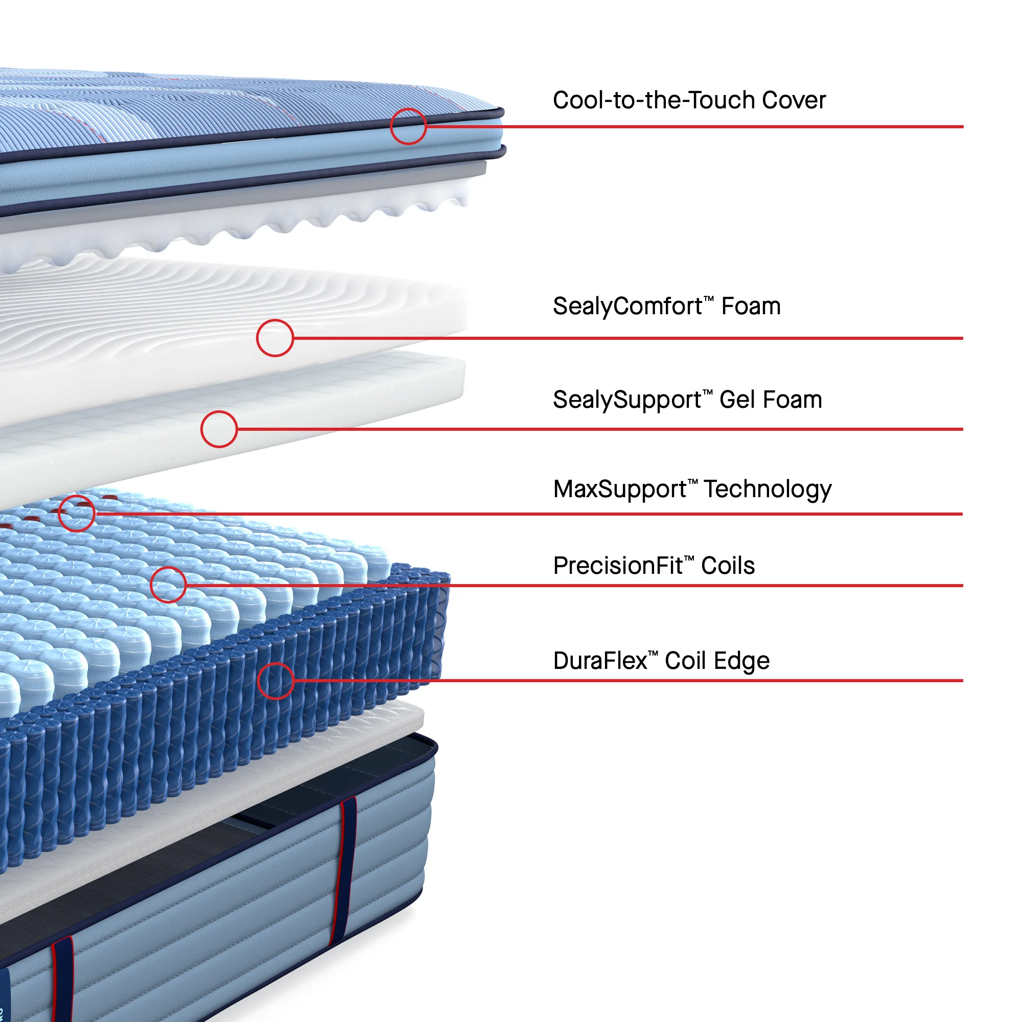 Sealy Posturepedic Pro Gratified2 Soft Euro Pillow Top - Image 3